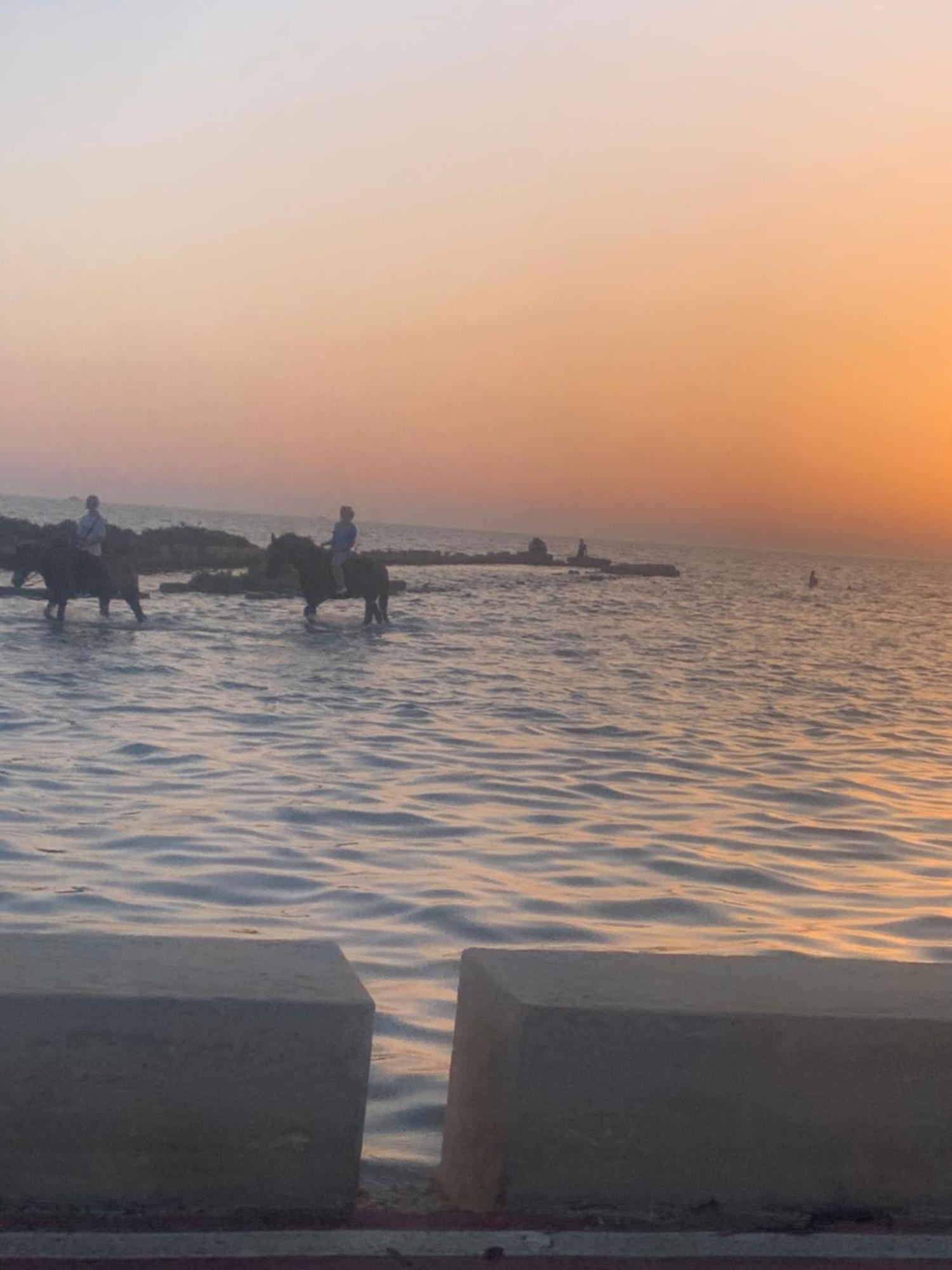 הוילה מרסאלה Maresol מראה חיצוני תמונה
