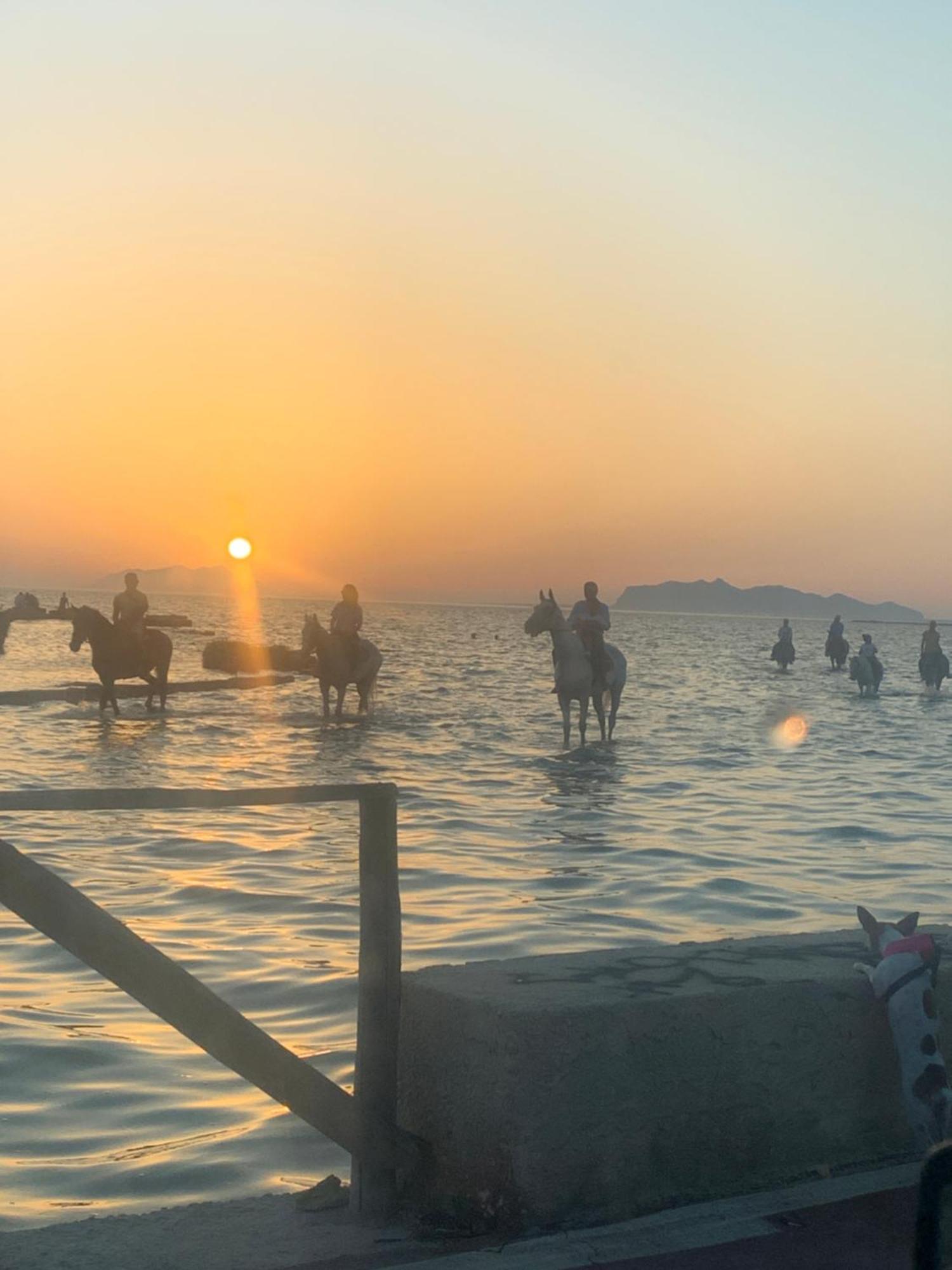 הוילה מרסאלה Maresol מראה חיצוני תמונה